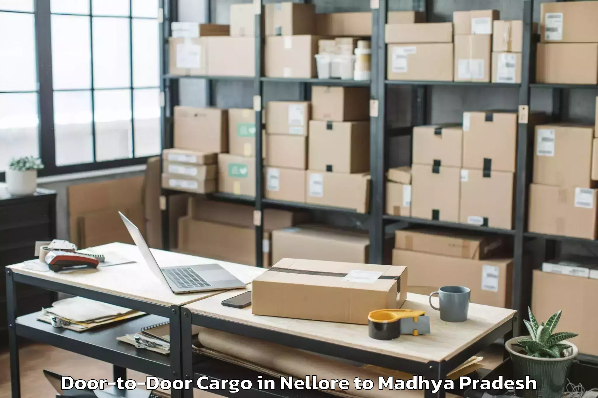 Affordable Nellore to Khilchipur Door To Door Cargo